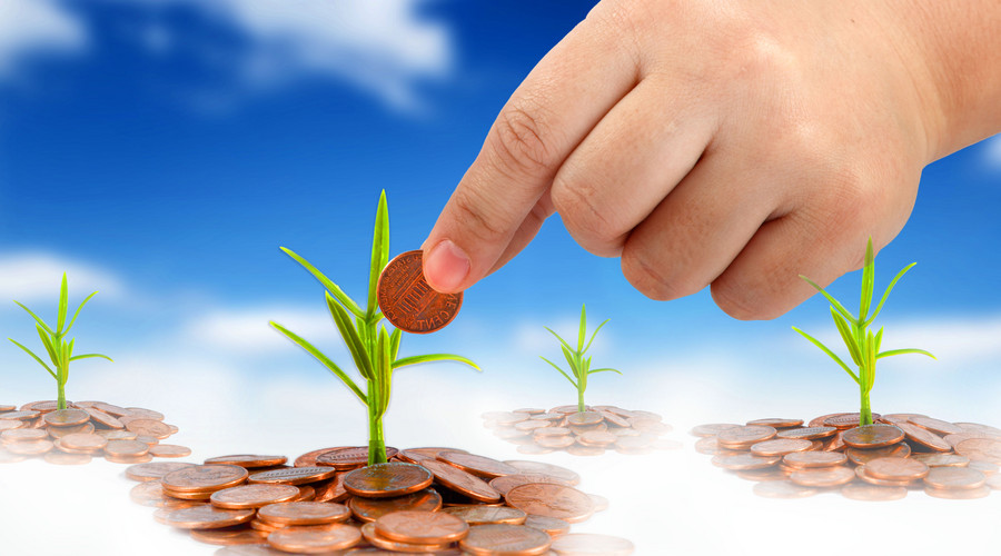 婆婆丁图片及识别方法 500563145_wx.jpg